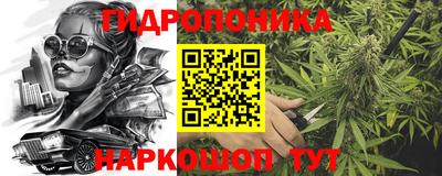 индика Комсомольск-на-Амуре