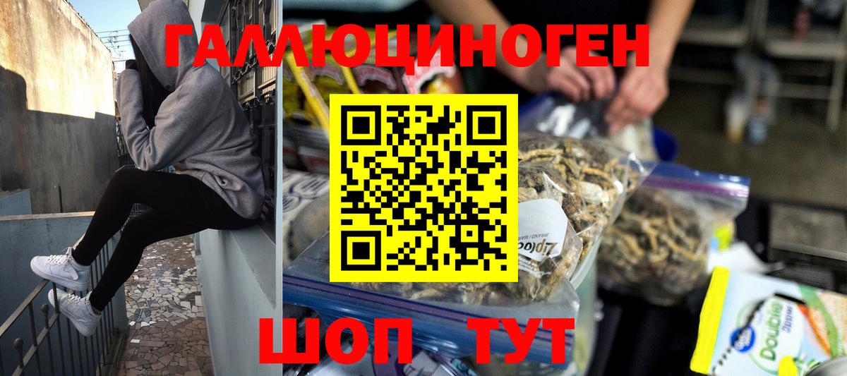 Комсомольск-на-Амуре  Псилоцибиновые грибы Psilocybine cubensis  Вход с VPN 